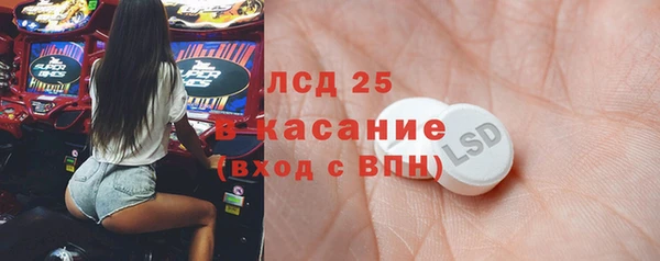 крисы Новозыбков