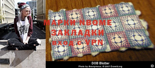 крисы Новозыбков