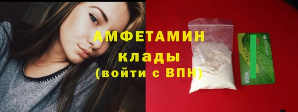 крисы Новозыбков