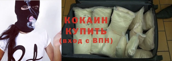 крисы Новозыбков