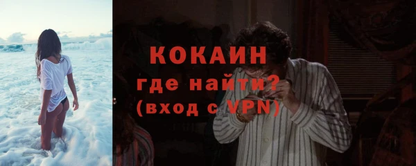 крисы Новозыбков