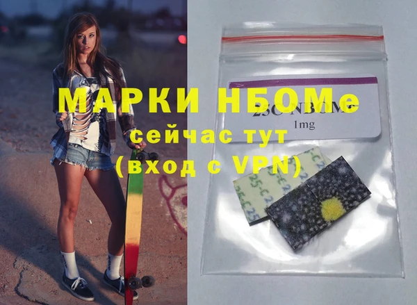 крисы Новозыбков
