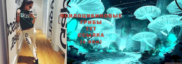 синтетический гашиш Новодвинск