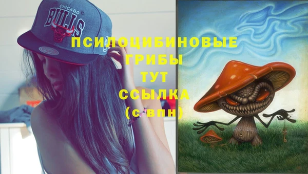синтетический гашиш Новодвинск