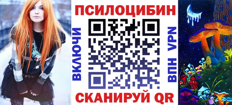 Псилоцибиновые грибы мицелий  кракен как зайти  Балей  где можно купить  